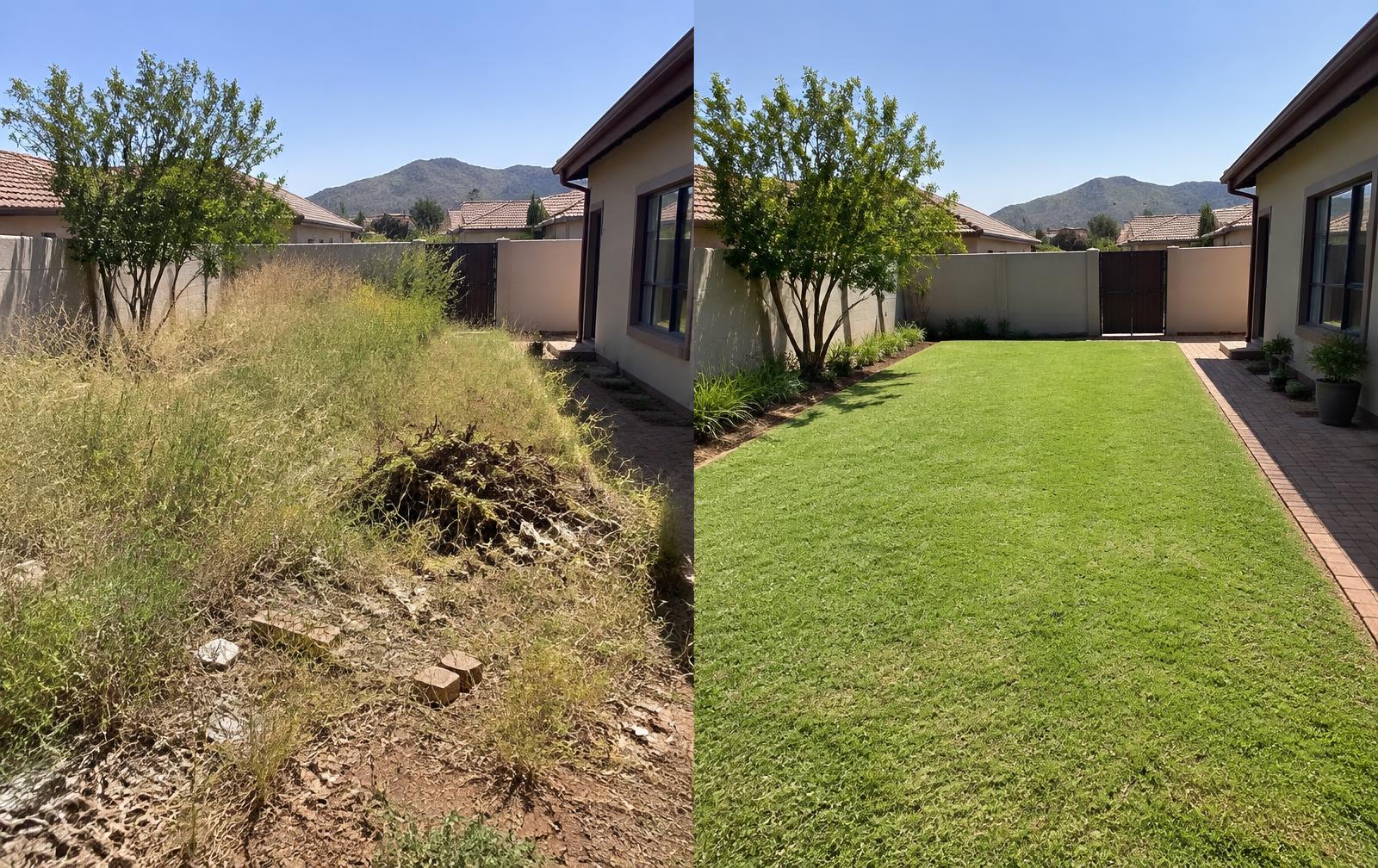 A clean lawn after professional property maintenance